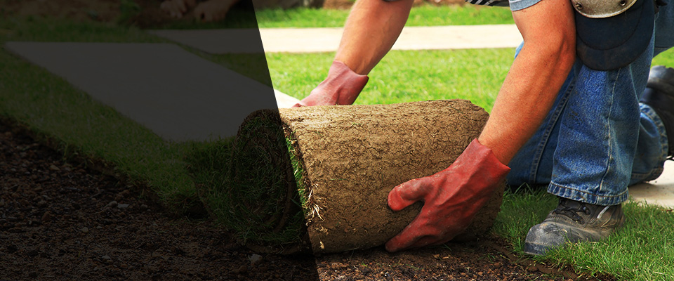Alexandria Landscapers